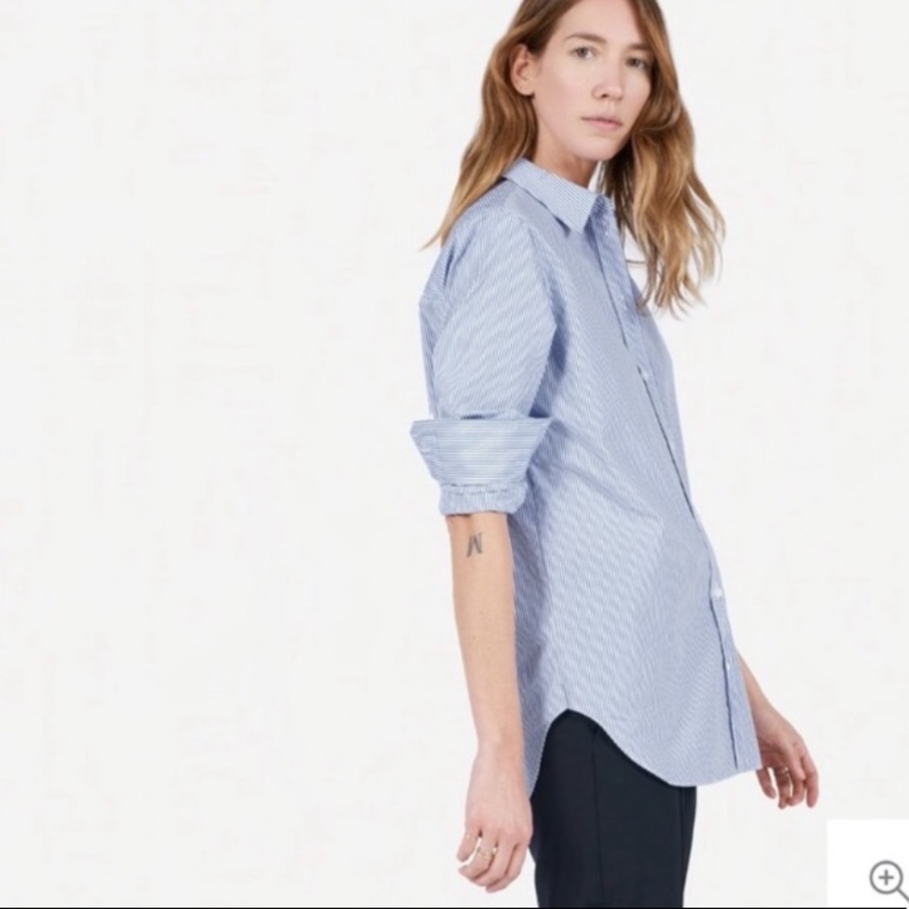 EVERLANE The Relaxed Poplin Pinstripe Button Shirt